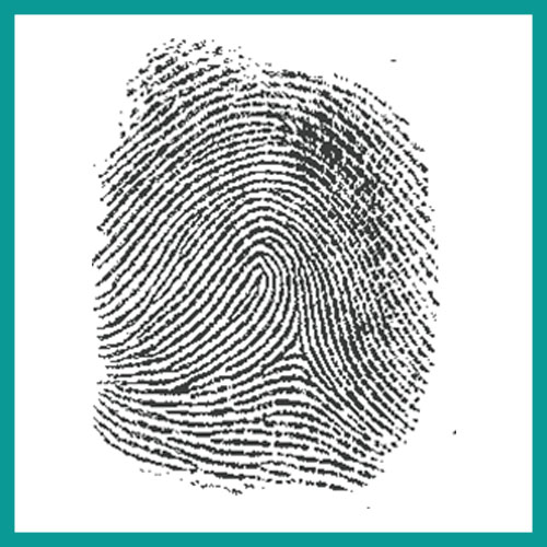 What Is a Fingerprint? Let’s Get to the Bottom of It